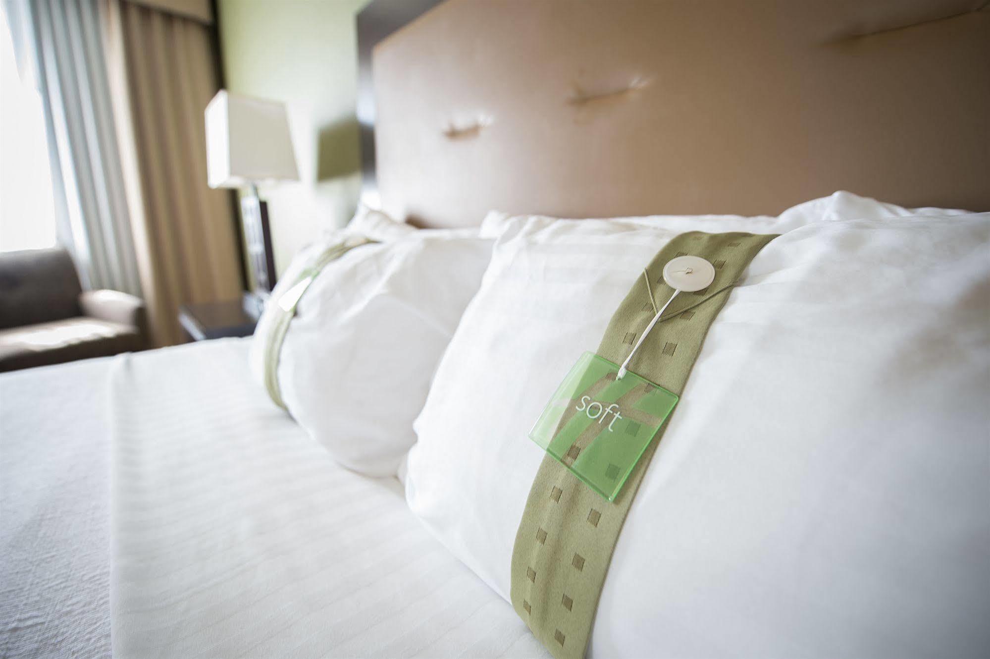 Holiday Inn Sydney - Waterfront By Ihg Zewnętrze zdjęcie